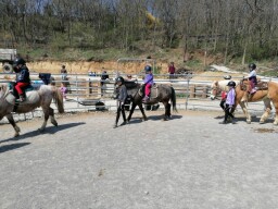 IMG_20220414_121158