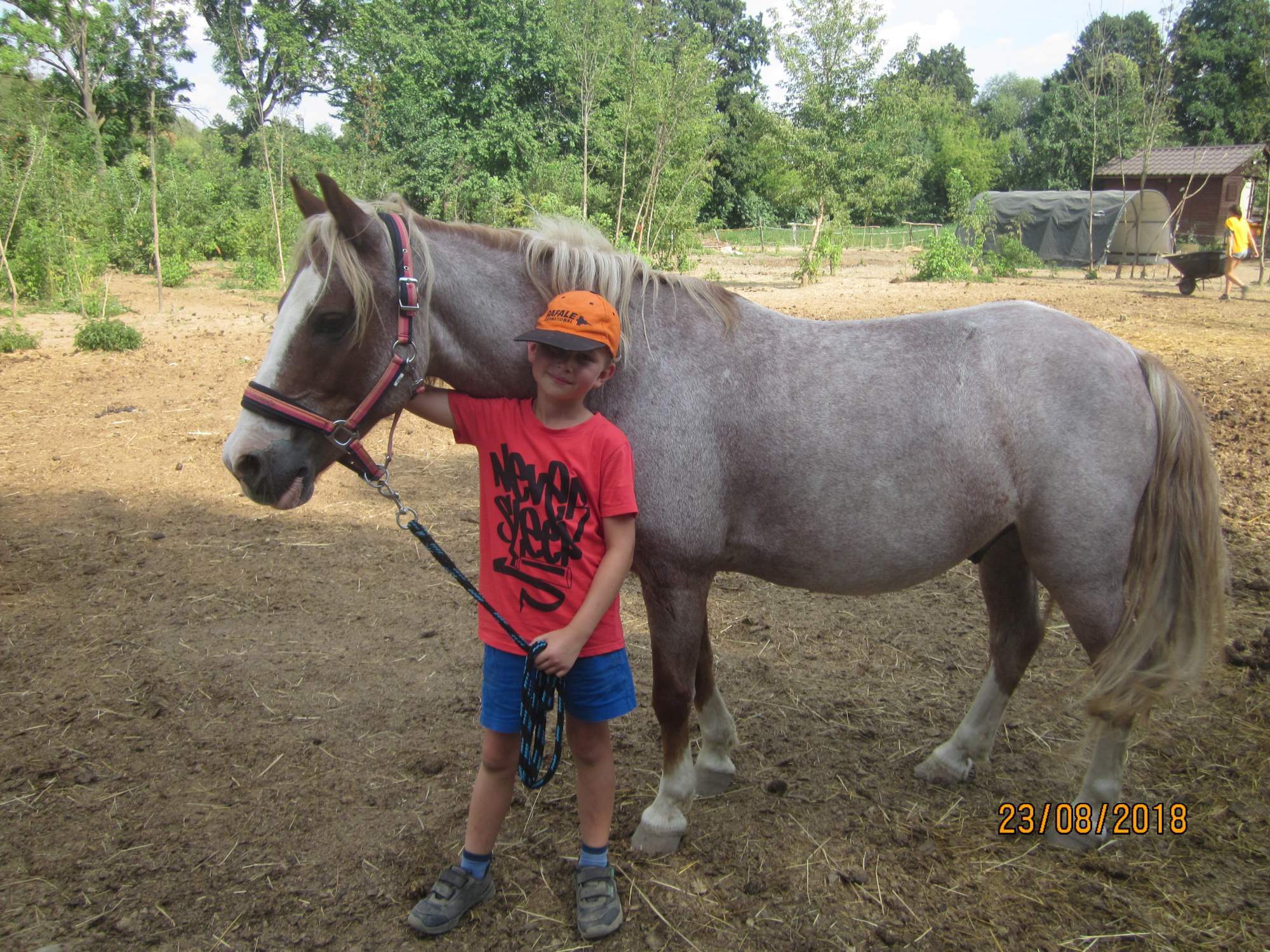 pirko3